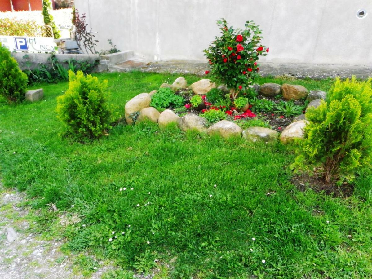 Casa Rural Sofia Ordesa Escalona Kültér fotó
